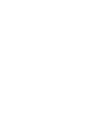 BZ - Zsófi Design logó