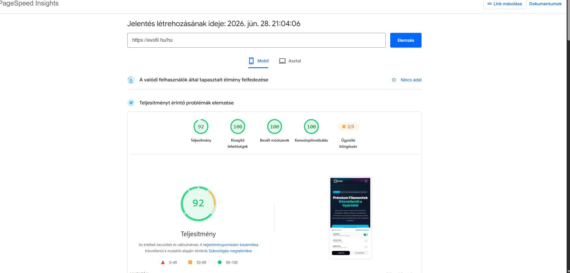 Evofil Google PageSpeed